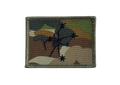 AMCU Southern Spider Patch